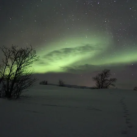 Nyaraló Fjellivet *