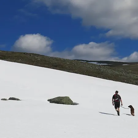 Fjellivet * Lakselv
