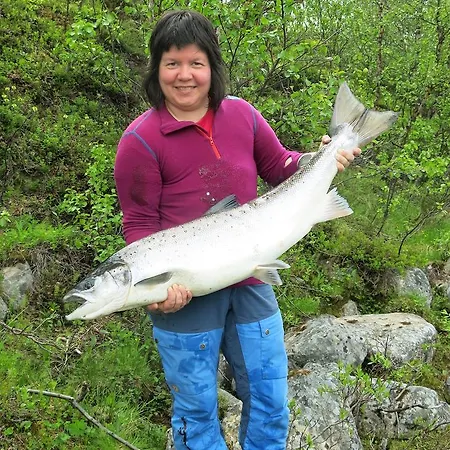 Fjellivet * Lakselv