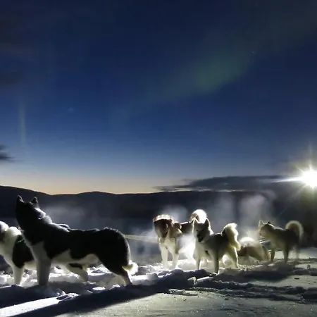 Fjellivet * Lakselv