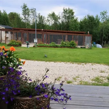 Fjellivet * Lakselv